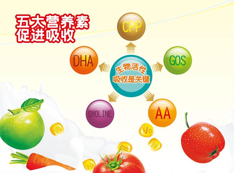 食品工艺优化
